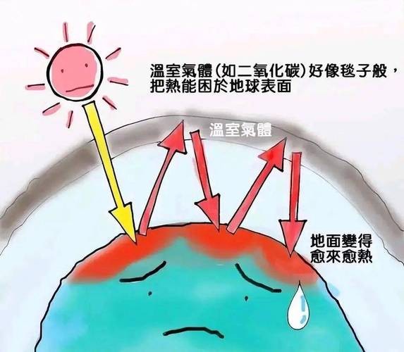 澳大利亚高温逼近50摄氏度，极端气候下的生存障碍与全球影响